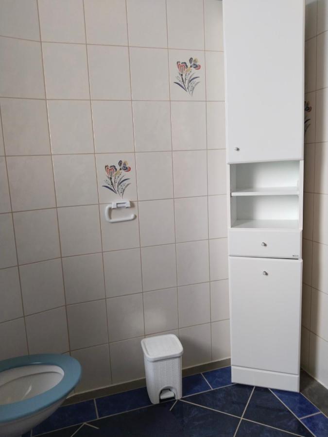 Apartament Penzion Spicak Boží Dar Zewnętrze zdjęcie